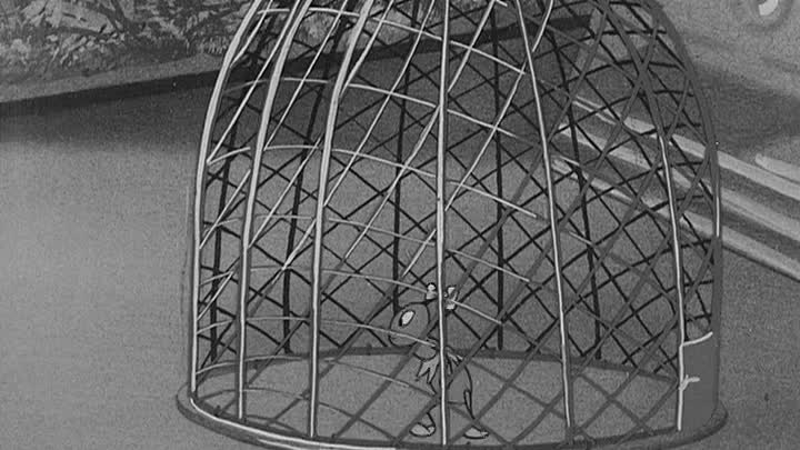 ⁣0347 - Porky's Midnight Matinee (DVD)