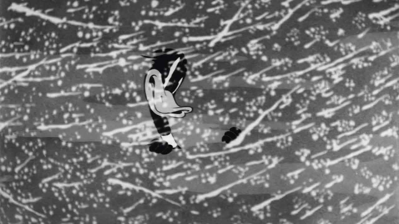 ⁣0364 - Daffy's Southern Exposure (BR)