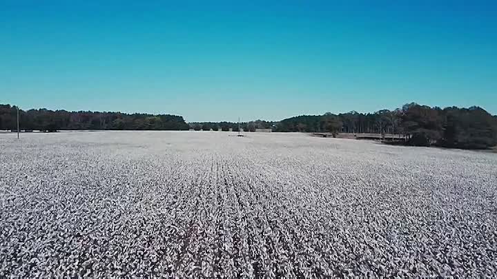 ⁣Kelsey Grammer's Historic Battles For America S01E05 -First Bull Run