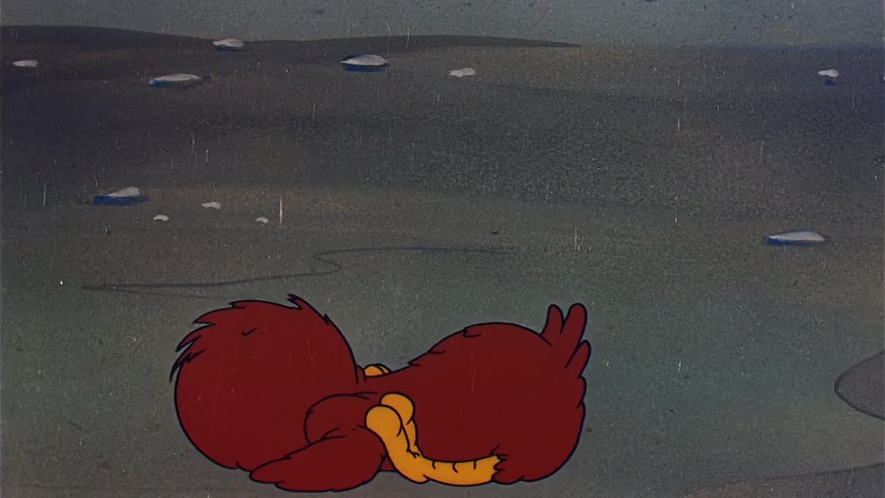 0377 - The Squawkin' Hawk (Web)