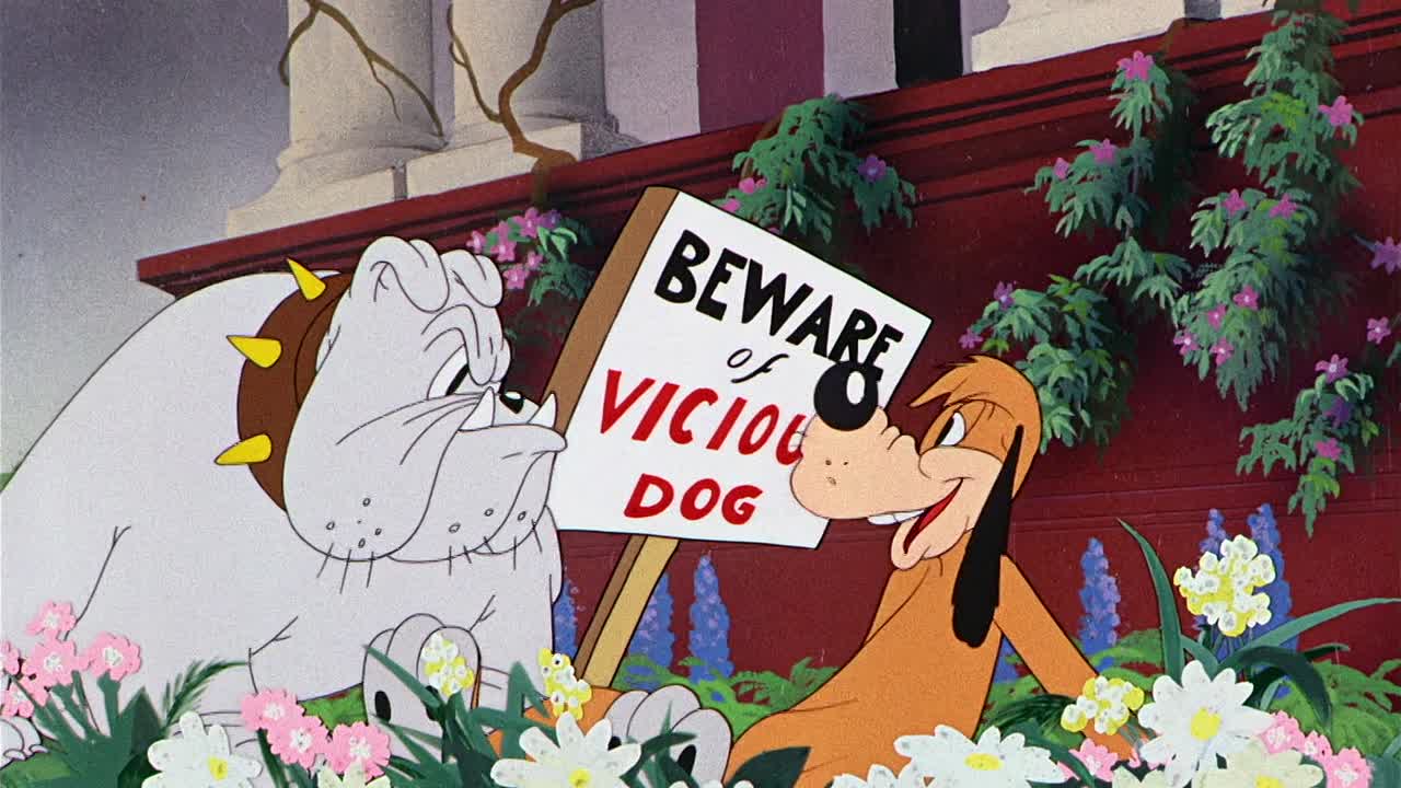 ⁣0389 - Ding Dog Daddy (BR)