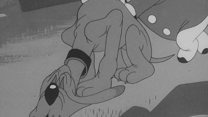 ⁣0392 - Confusions of a Nutzy Spy (DVD)