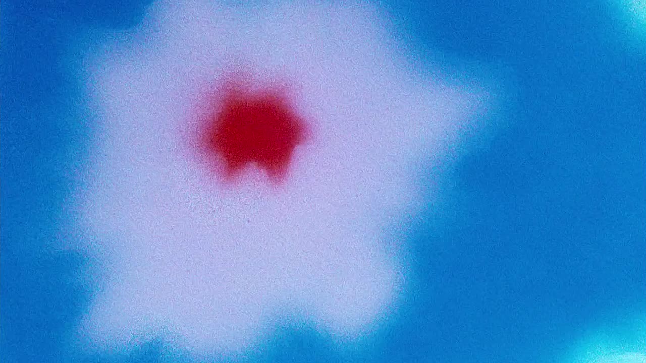 ⁣0400 - The Unbearable Bear (BR)