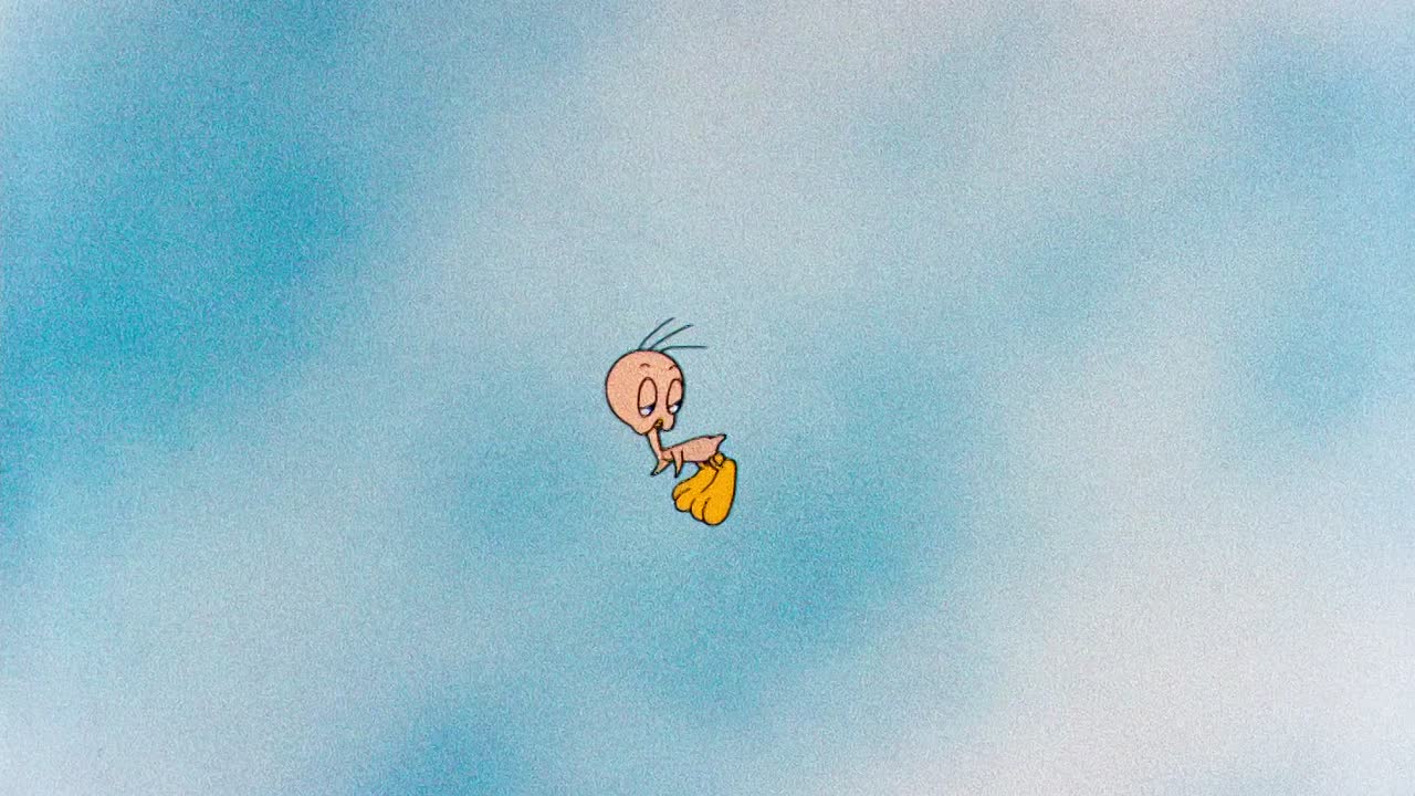 ⁣0437 - Birdy and the Beast (BR)