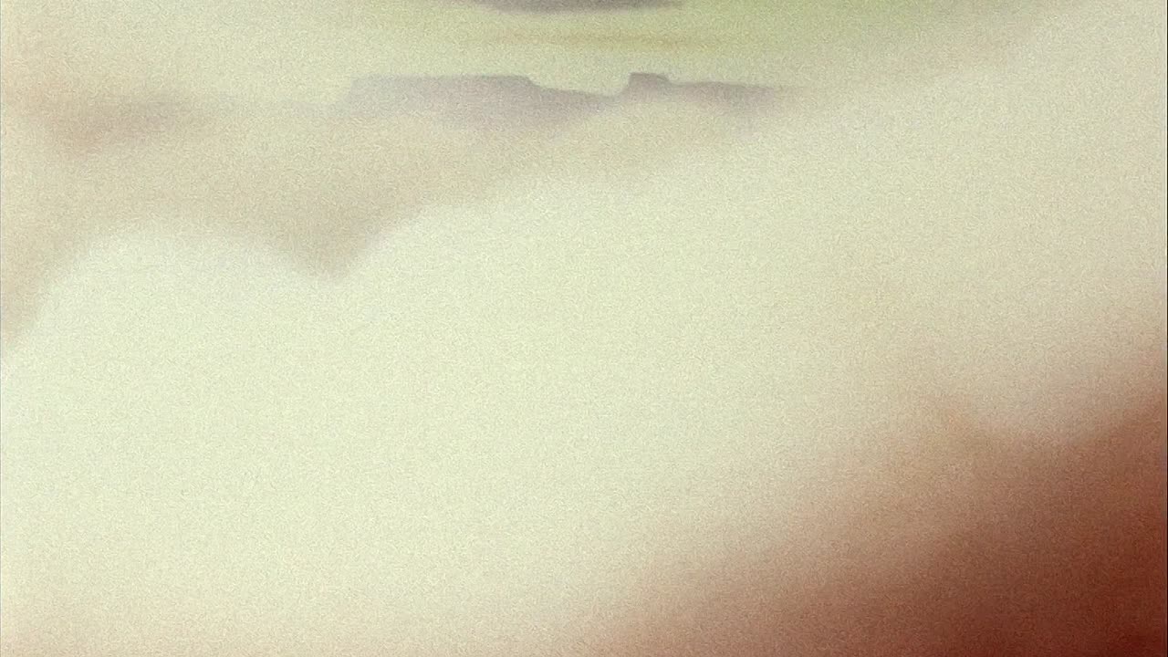 0438 - Buckaroo Bugs (BR)