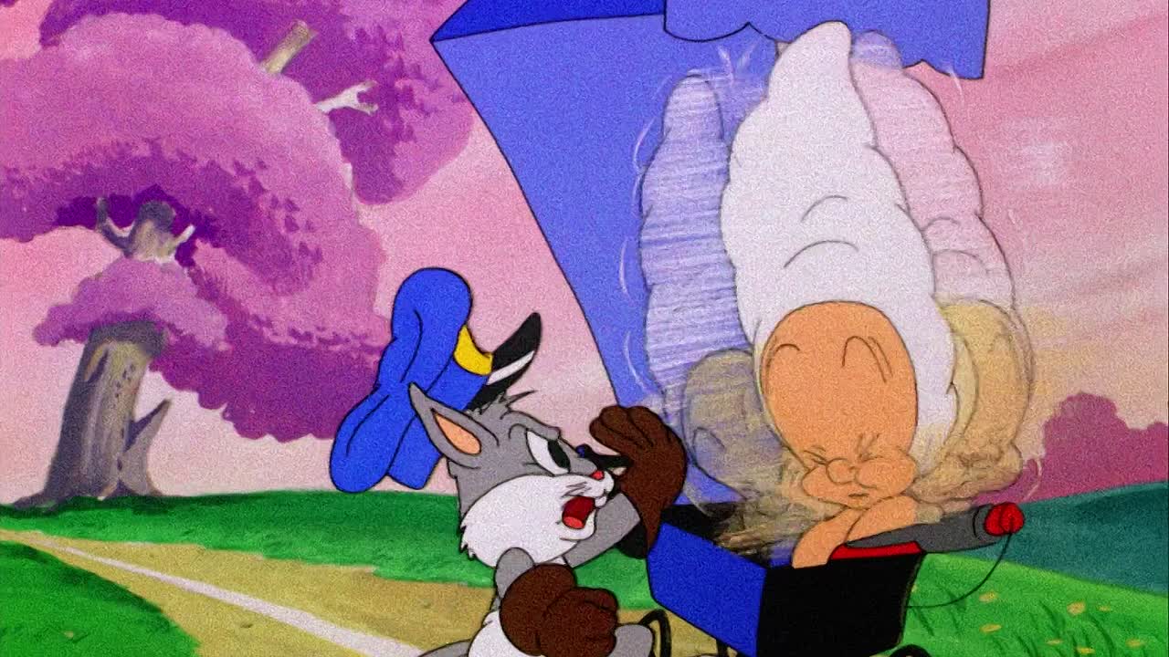 0443 - The Old Grey Hare (BR)