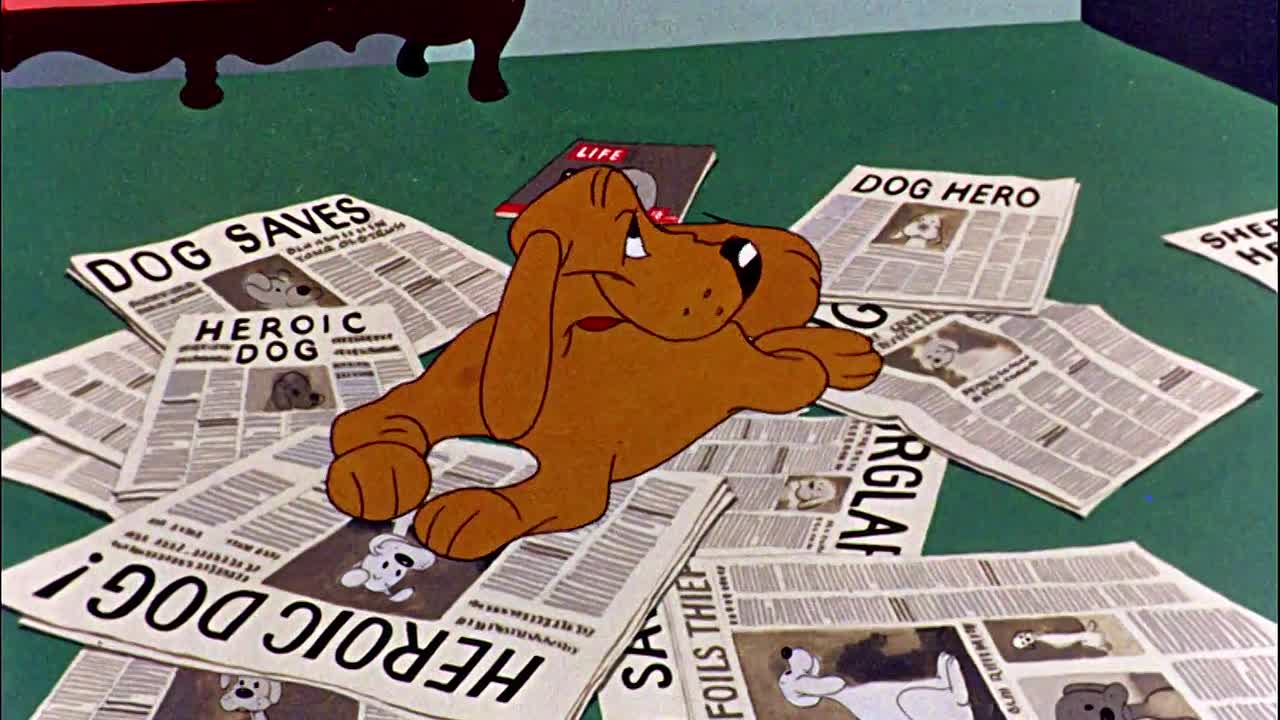 ⁣0459 - Fresh Airedale (Web)