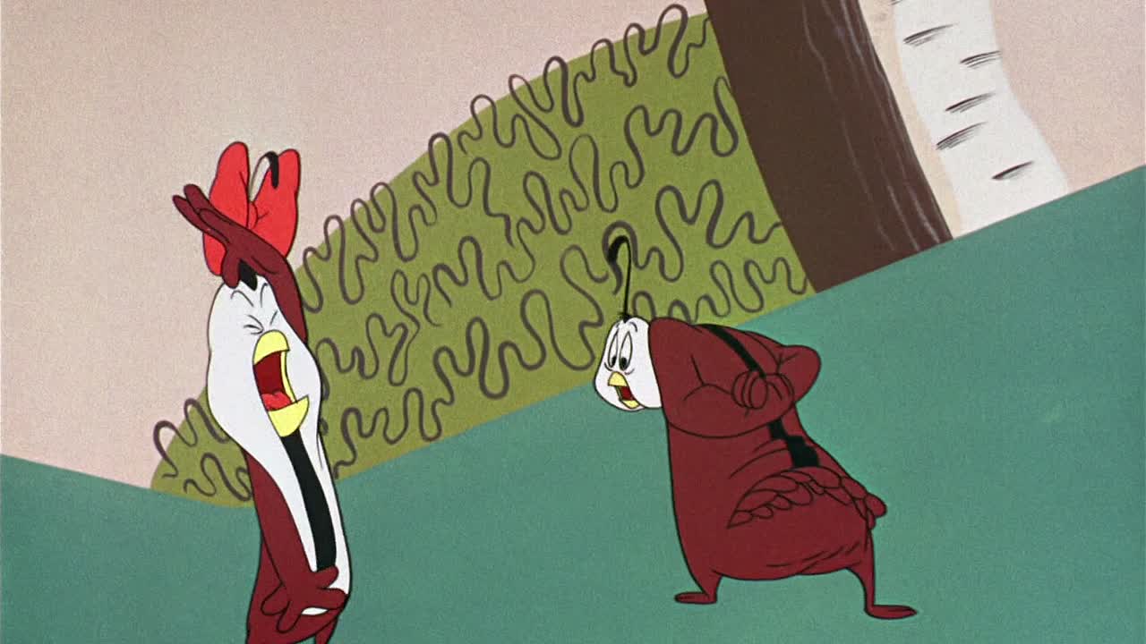 ⁣0467 - Quentin Quail (BR)