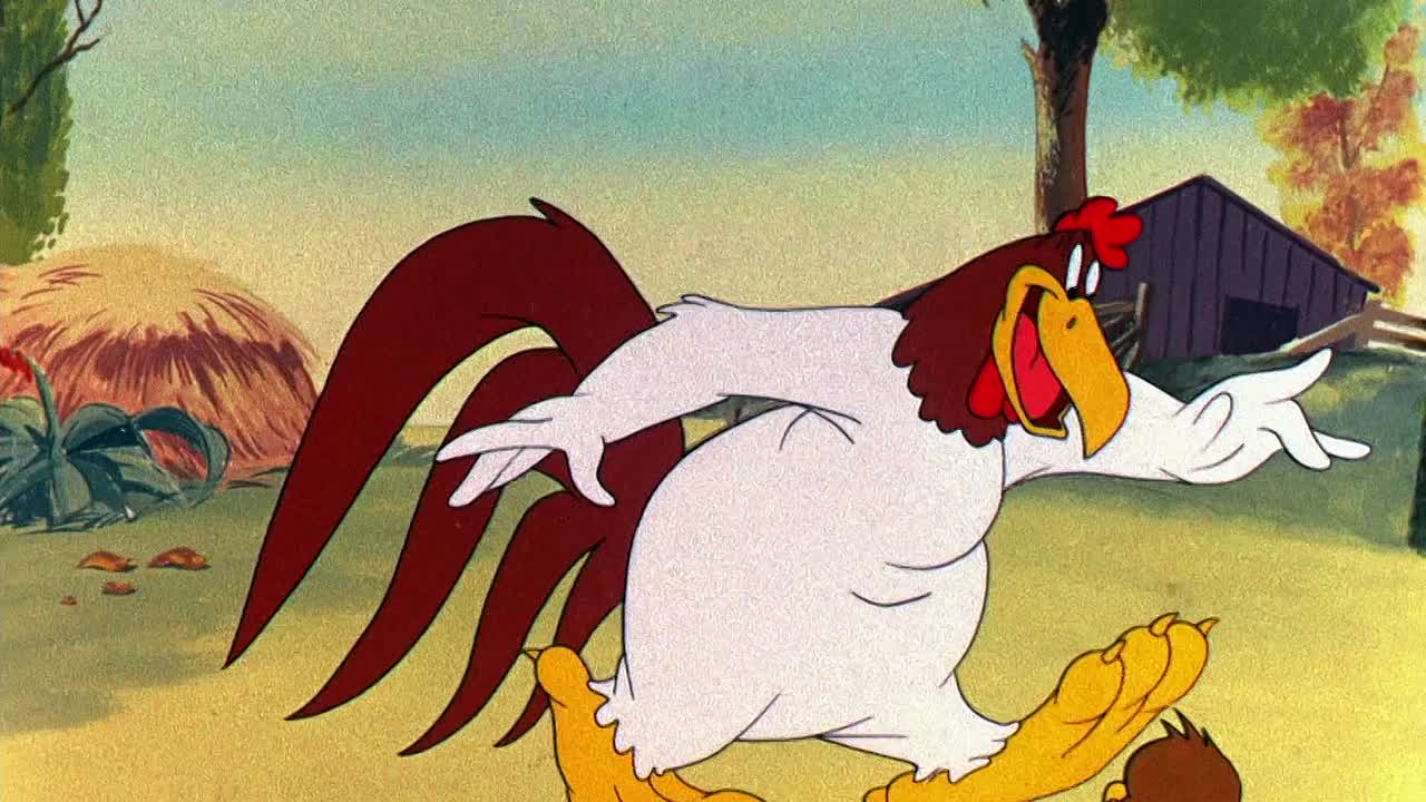 ⁣0481 - Walky Talky Hawky (BR)