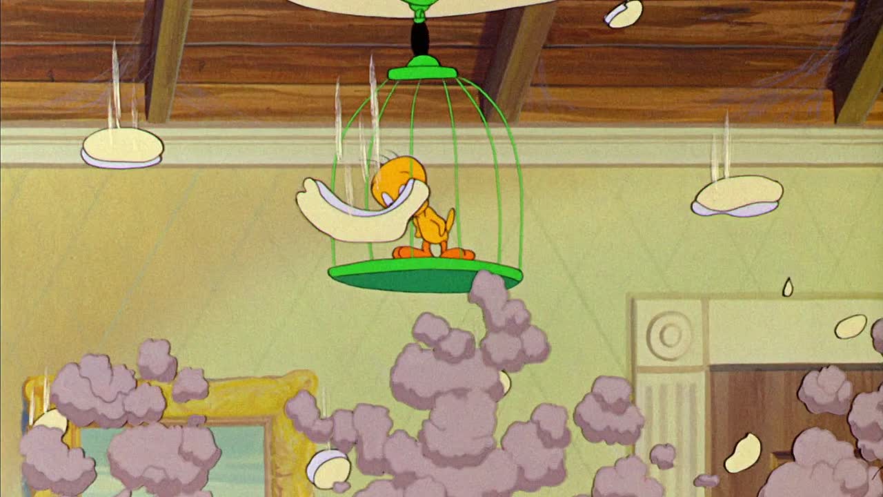 ⁣0495 - Tweetie Pie (BR)