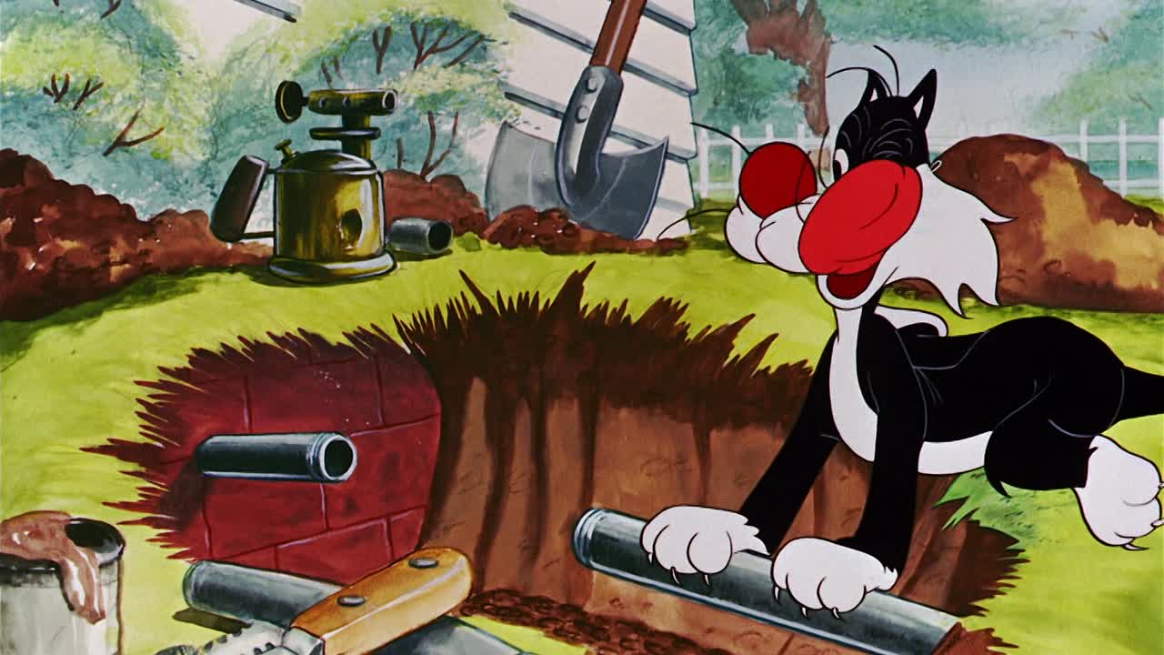 ⁣0509 - Catch as Cats Can (BR)