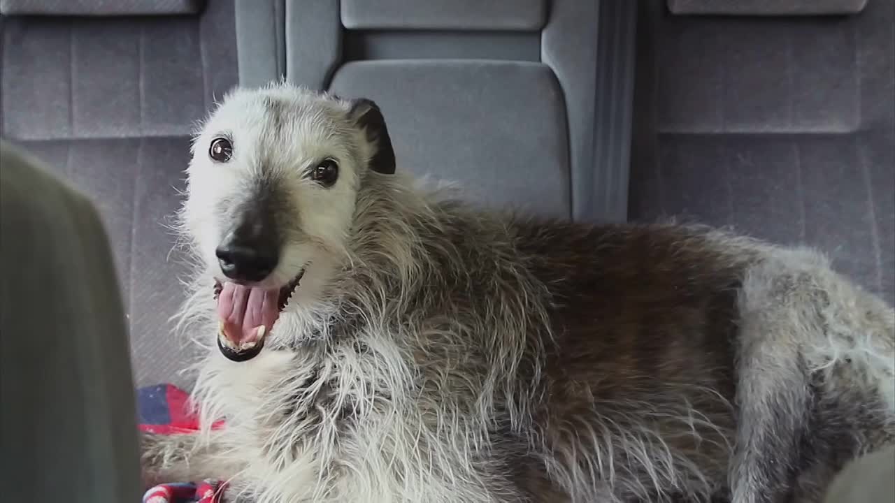 Prisoners Wives (2012) S01E03