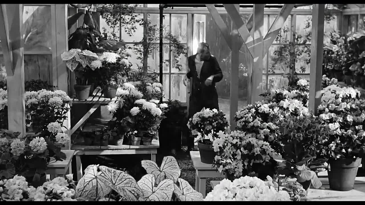 ⁣American Masters S38E04 Blake Edwards -A Love Story in 24 Frames