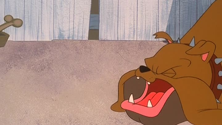 ⁣Father of the Bird (DVD)