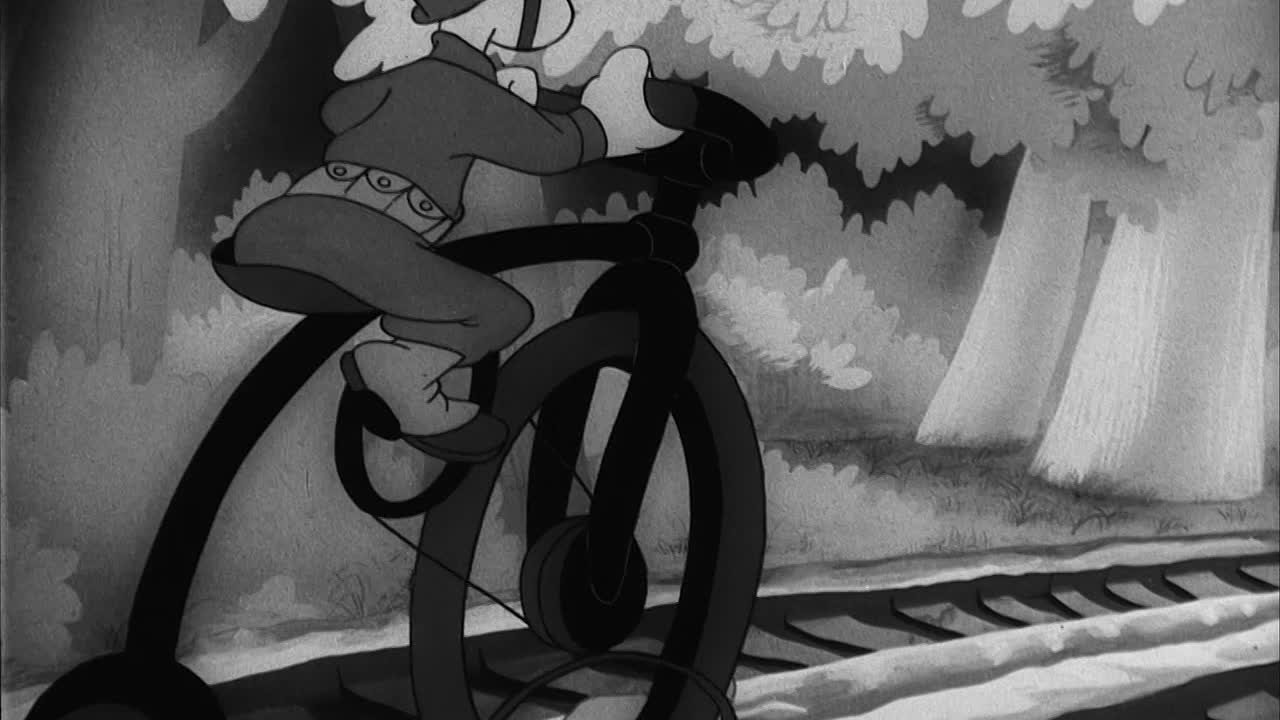 A Lecture on Camouflage (BR)