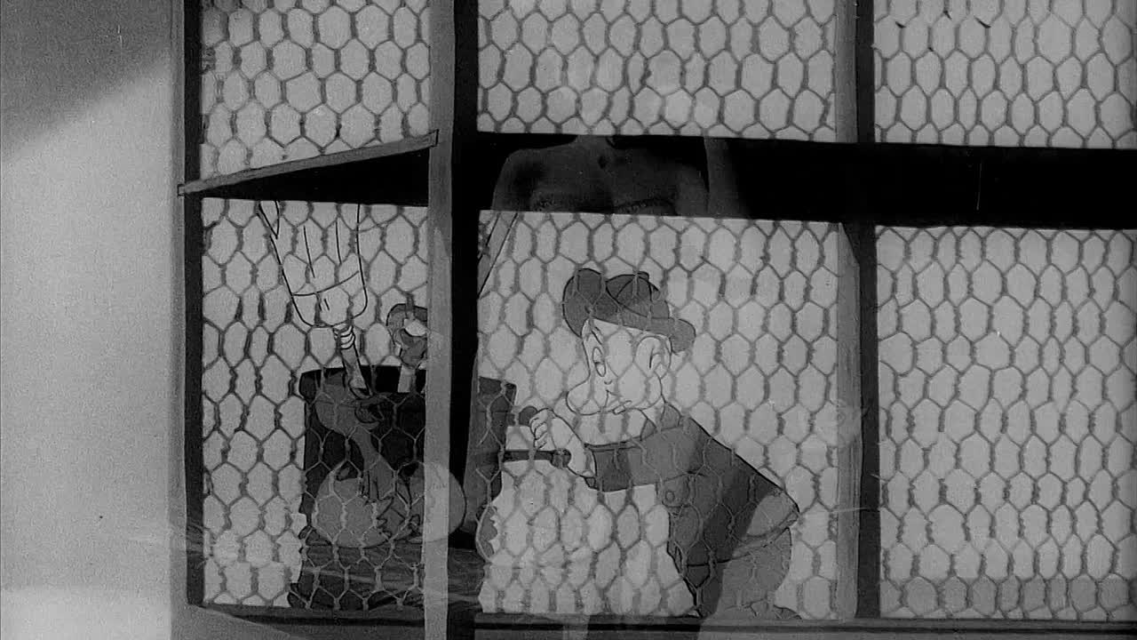 ⁣Three Brothers (BR)