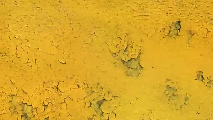 ⁣Faites entrer l'accusé -Mickaël Philétas, le mâle dans la peau