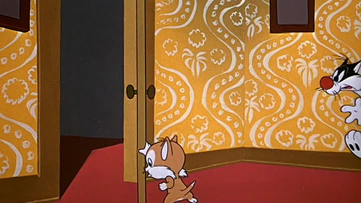 0539 - Kit for Cat (DVD)