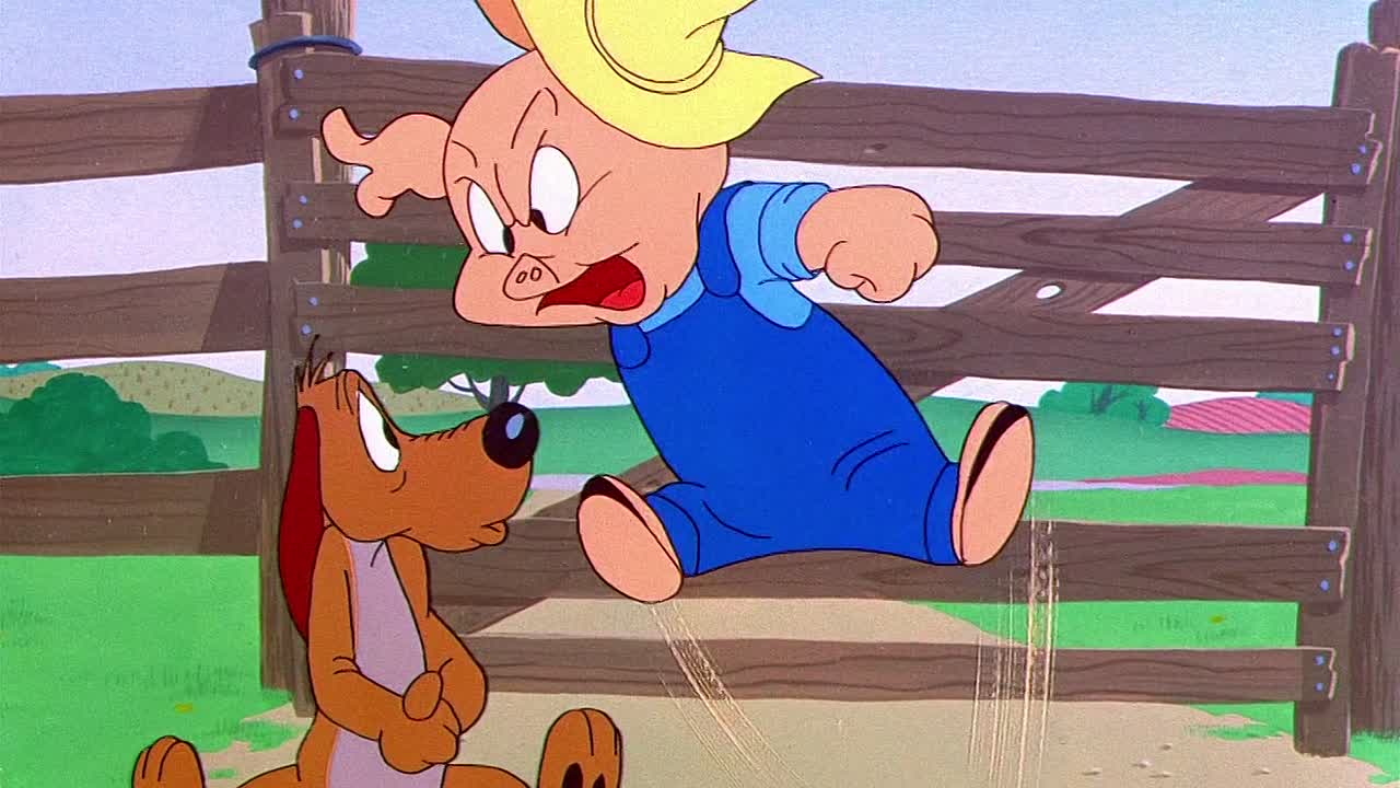 ⁣0564 - Often an Orphan (Web)