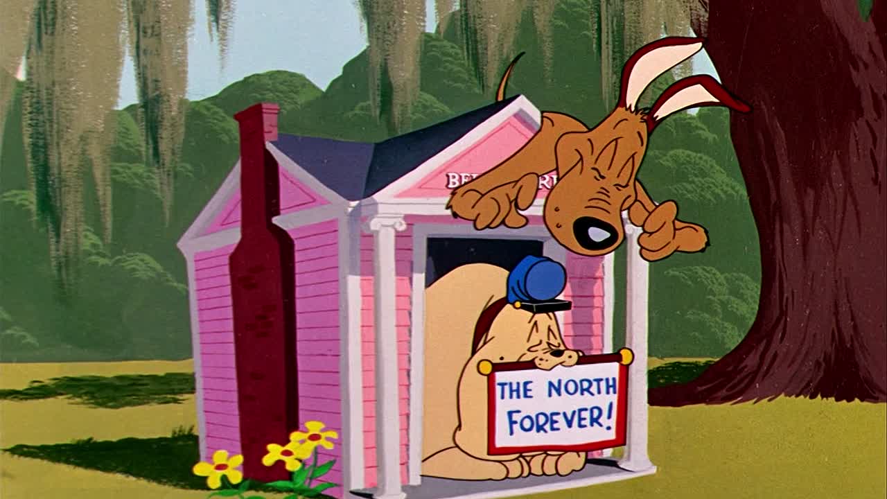 ⁣0597 - Dog Gone South (BR)