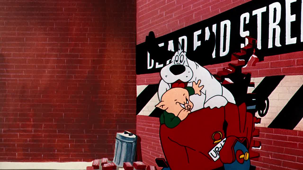 0606 - Dog Collared (BR)