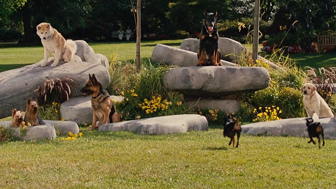 ⁣Marmaduke 2010 1080p BluRay x264 AAC5 1-