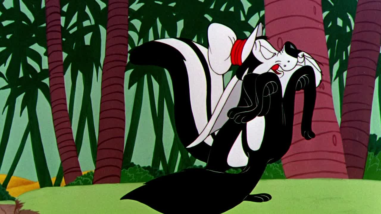 ⁣0645 - Little Beau Pepe (Web)