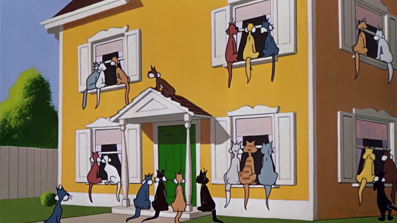 ⁣0670 - A Mouse Divided (BR)