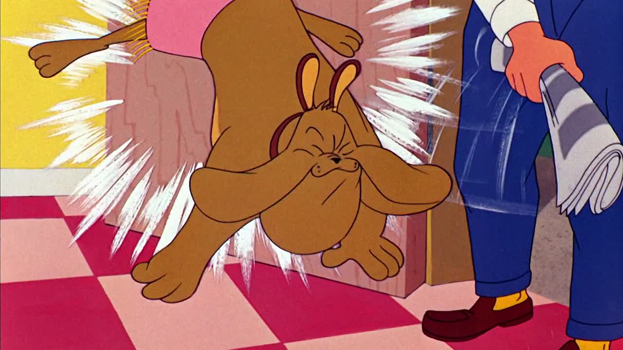 ⁣0672 - Kiss Me Cat (BR)