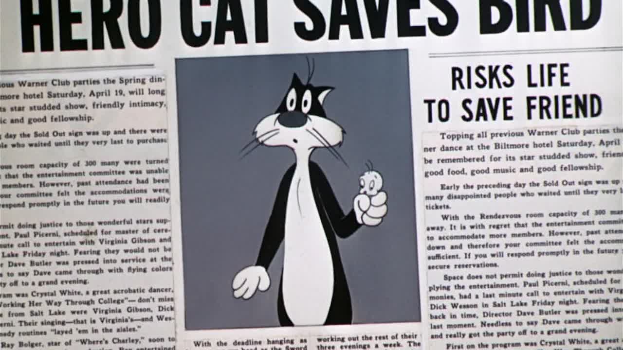 ⁣0693 - Catty Cornered (BR)