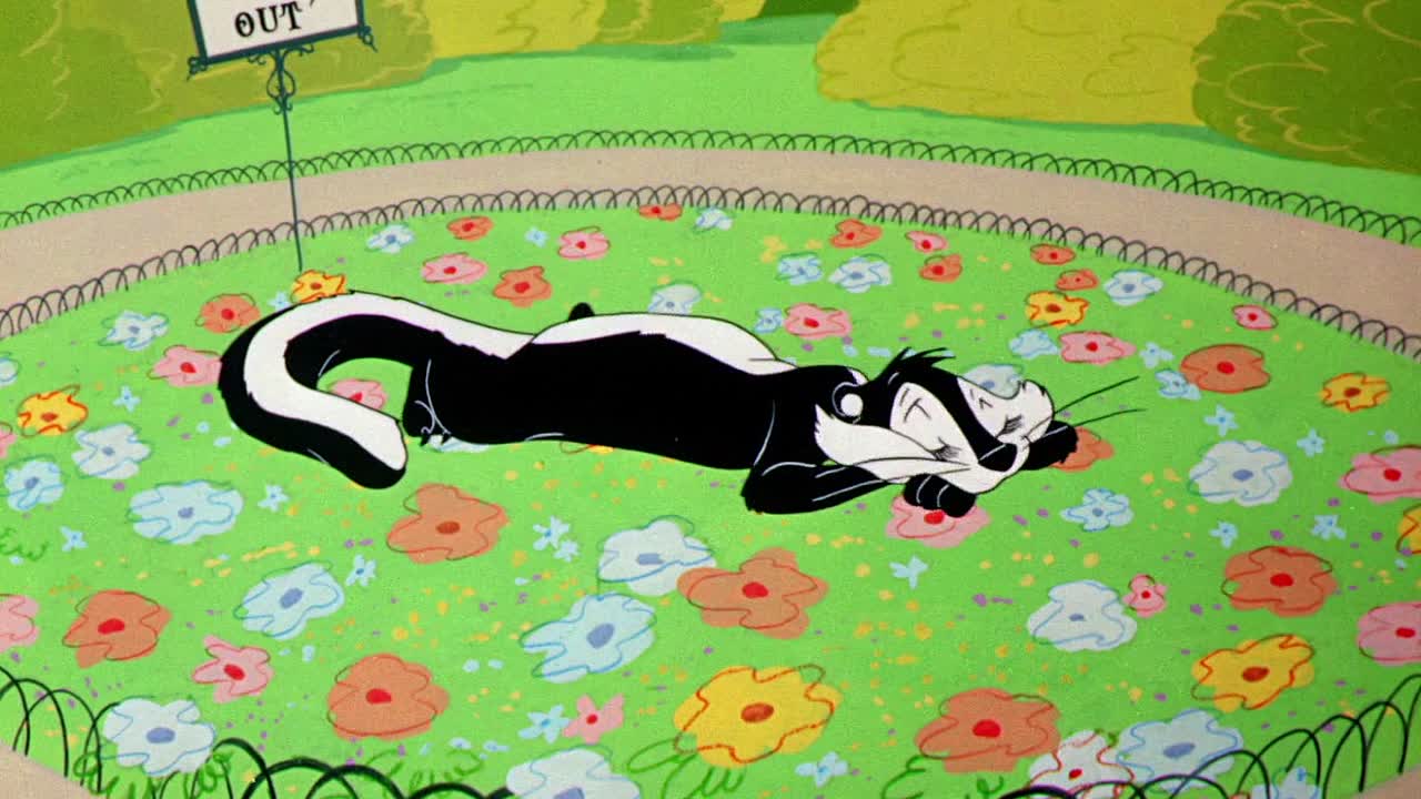 0684 - Wild Over You (Web)