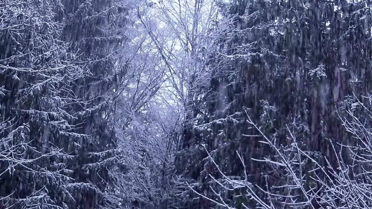 ⁣Mysteries at the Monument S03E12 -The Disaster That Saved London, The Man in the Green Hat, The Viki