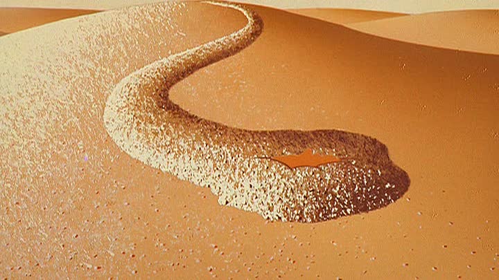 0735 - Sahara Hare (DVD)