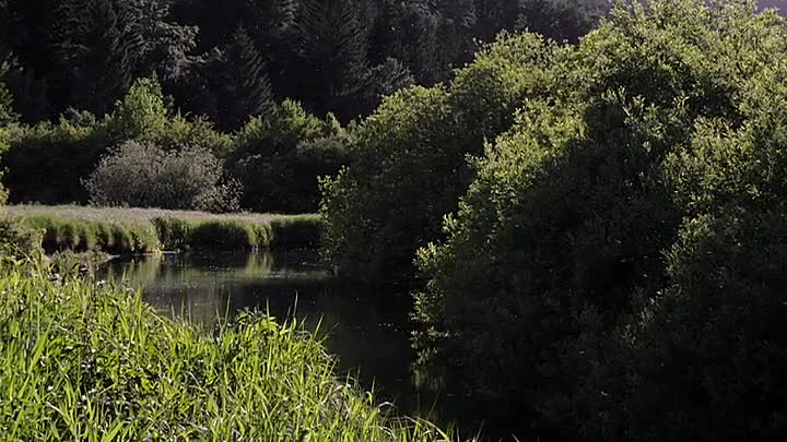 Secrets Of The Enchanted Waters S01E03 -Rivers