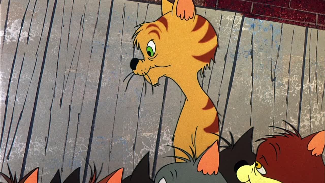 ⁣0803 - Birds Anonymous (BR)