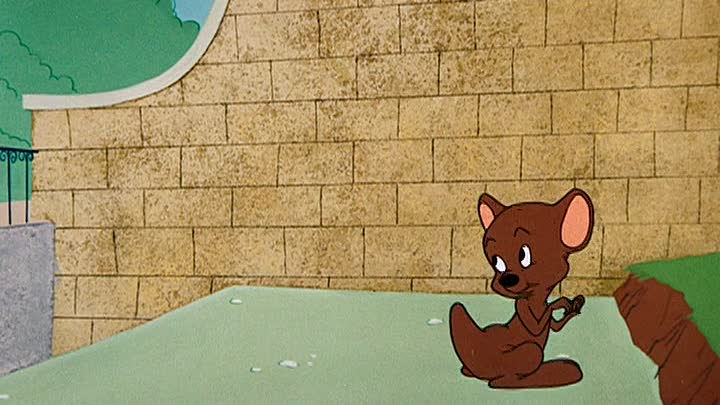 ⁣0810 - Mouse-taken Identity (DVD)