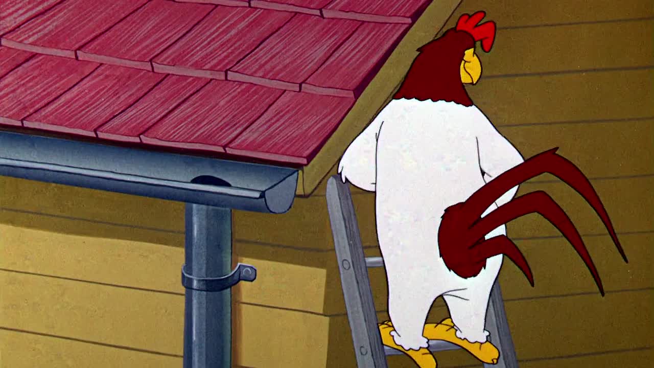 ⁣0850 - A Broken Leghorn (Web)