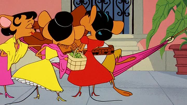 ⁣0928 - A Message To Gracias (DVD)