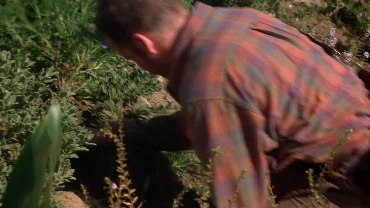 ⁣The Dying Gaul 2005 1080p WEBRip x264 AAC5 1-[YTS LT]