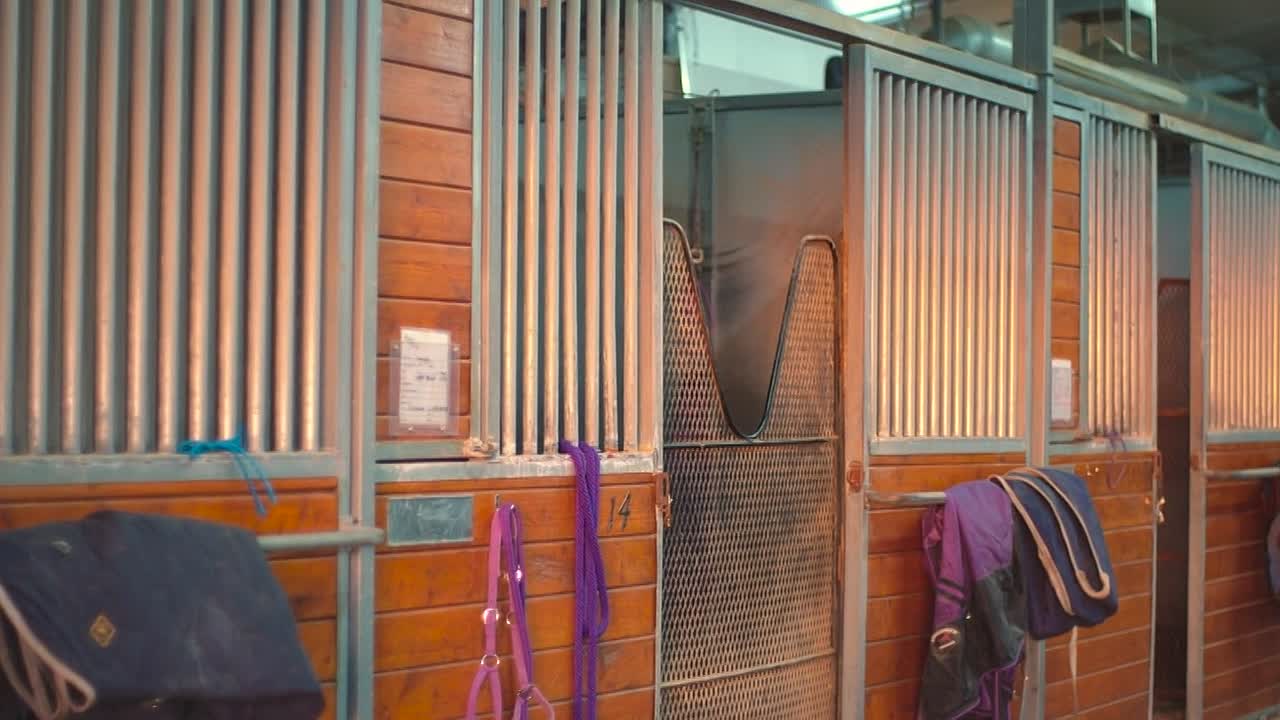 The Vindicator 2025 1080p WEBRip x264 AAC-[YTS LT]