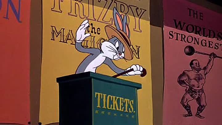 ⁣04 - High Diving Hare