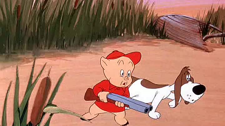 ⁣11 - Daffy Duck Hunt