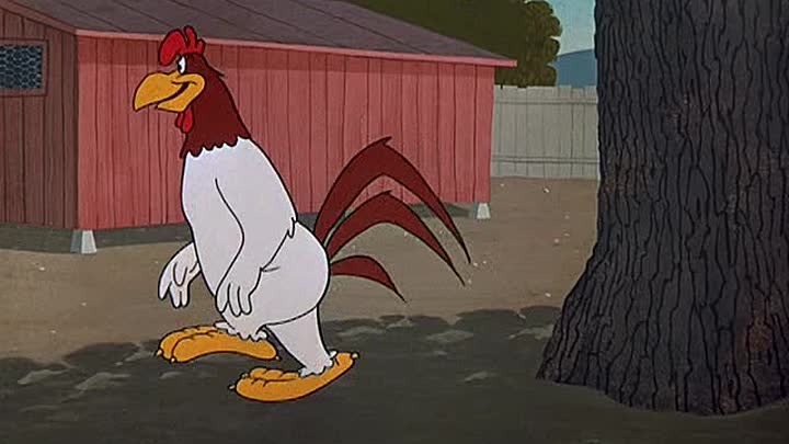 13 - Broken Leghorn