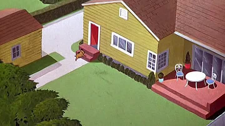 ⁣11 - Feed the Kitty