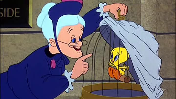 ⁣03 - Room and Bird