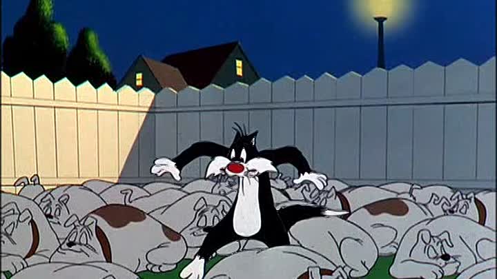 ⁣06 - Ain't She Tweet