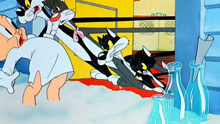 ⁣10 - Kitty Kornered