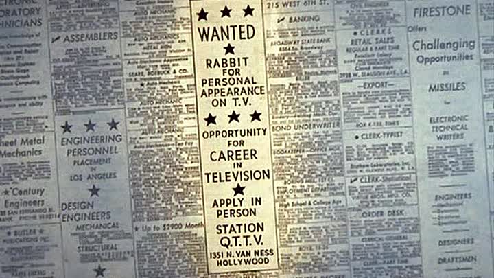 ⁣12 - Wideo Wabbit