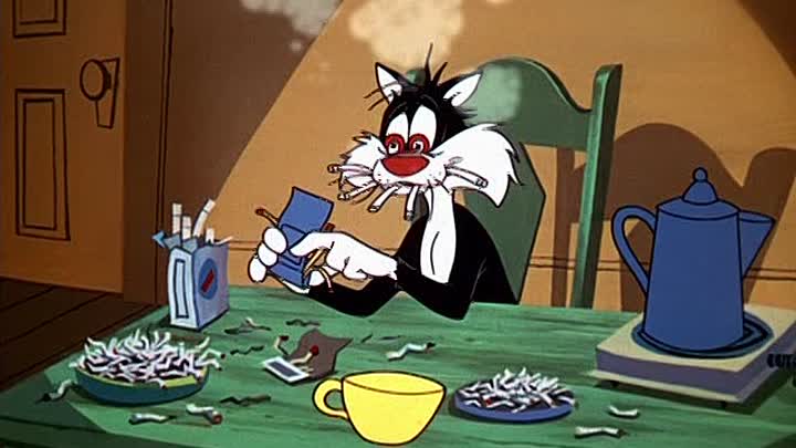 ⁣14 - The Last Hungry Cat