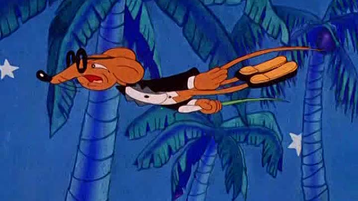 ⁣03 - The CooCoo Nut Grove